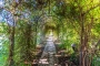 Find your way through this flowered arch paths